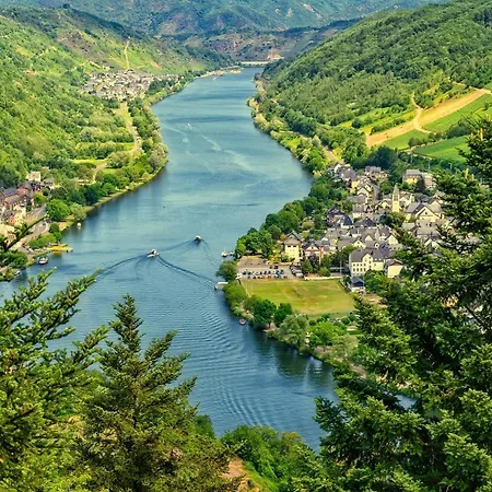 Loewenherz * Pommern