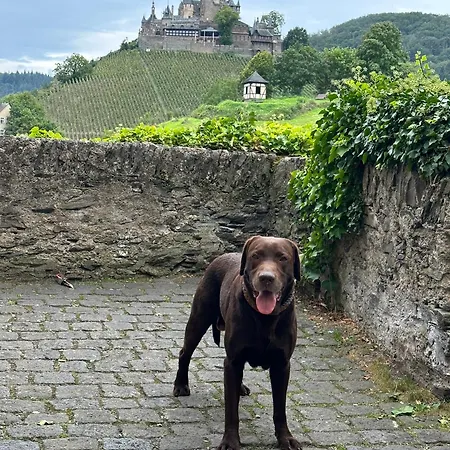 Loewenherz *