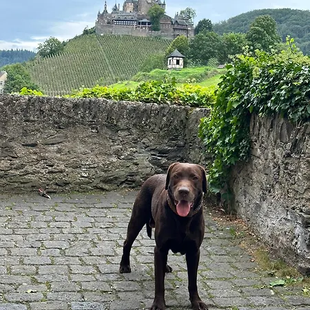 Loewenherz *