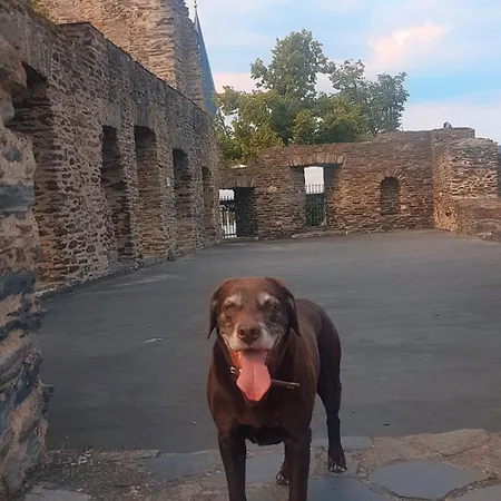 Apartmán Loewenherz Pommern