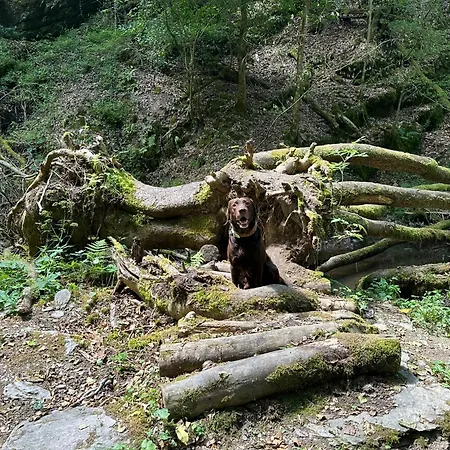 Loewenherz Pommern
