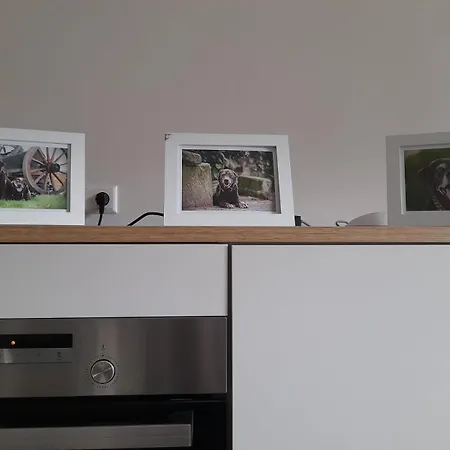 Loewenherz Apartment *