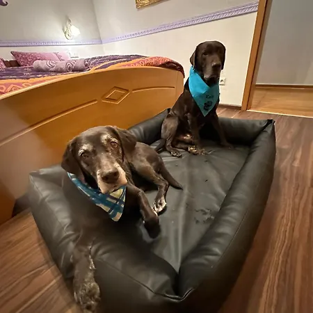 Apartmán Loewenherz