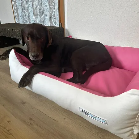 Apartamento Loewenherz Pommern