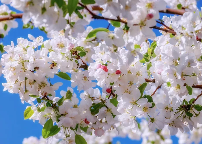 Loewenherz Apartamento *