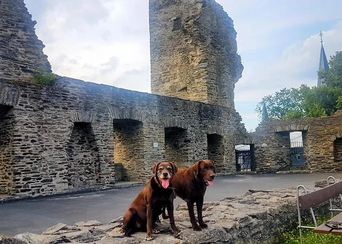 Loewenherz Apartamento