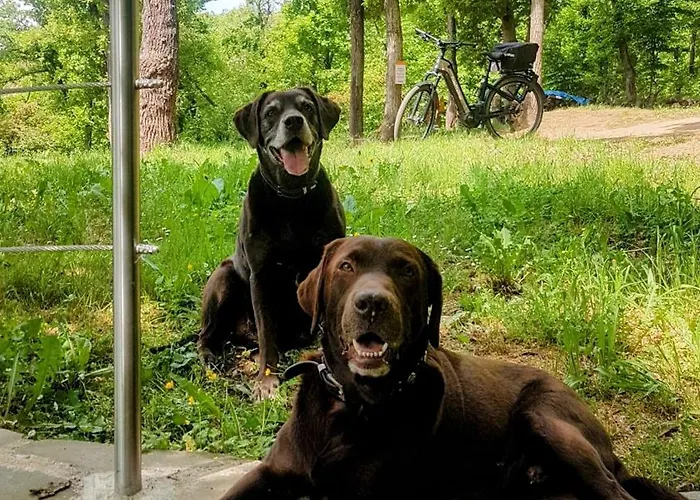 Loewenherz Apartamento Pommern