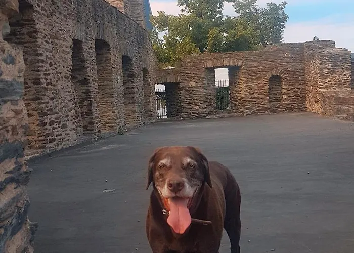 Apartamento Loewenherz Pommern