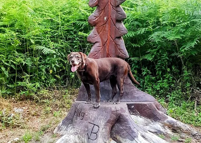 Loewenherz Apartamento