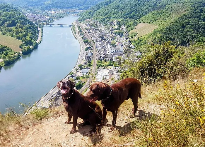 Apartamento Loewenherz