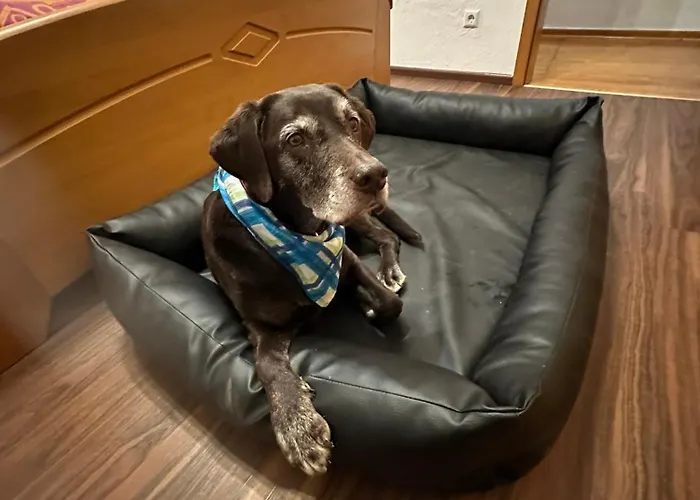 Loewenherz Apartamento *