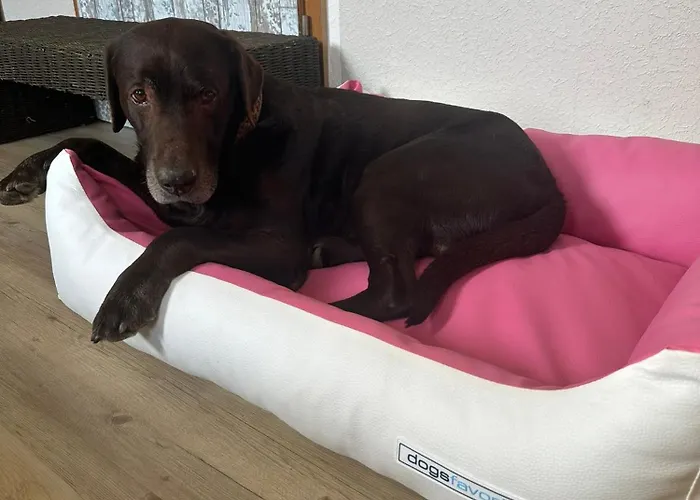 Apartamento Loewenherz Pommern